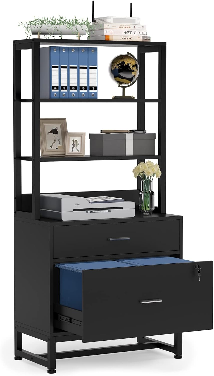 2 Drawer Lateral File Cabinet with Lock, Letter Size, Dark Brown N20800
