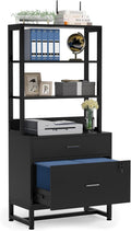 2 Drawer Lateral File Cabinet with Lock, Letter Size, Dark Brown N20800