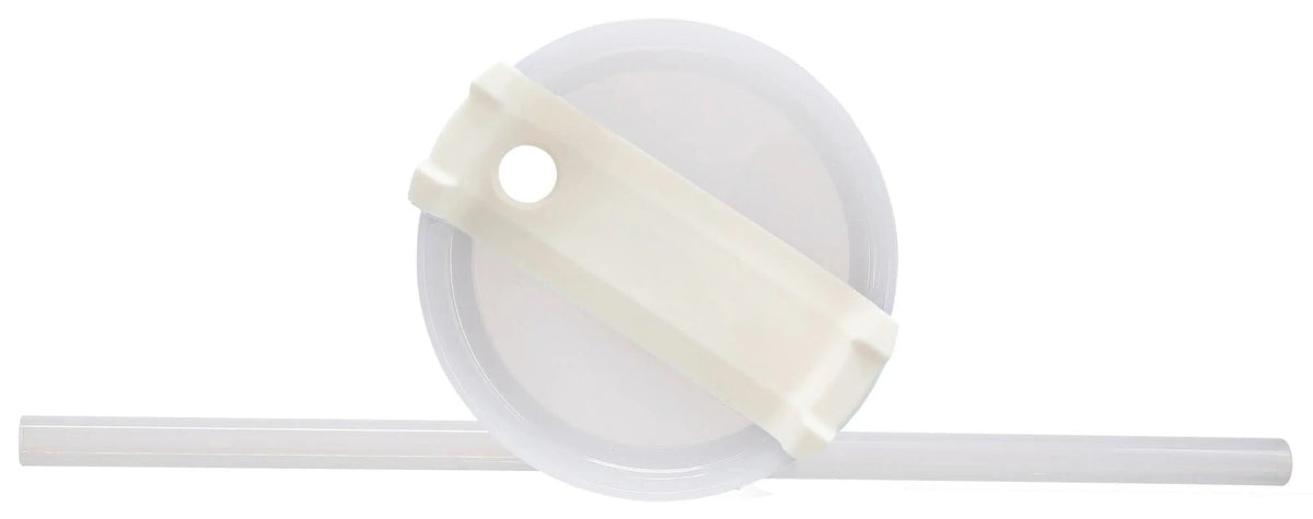 Reusable Insulated Tumbler with Straw and Lid Q28557