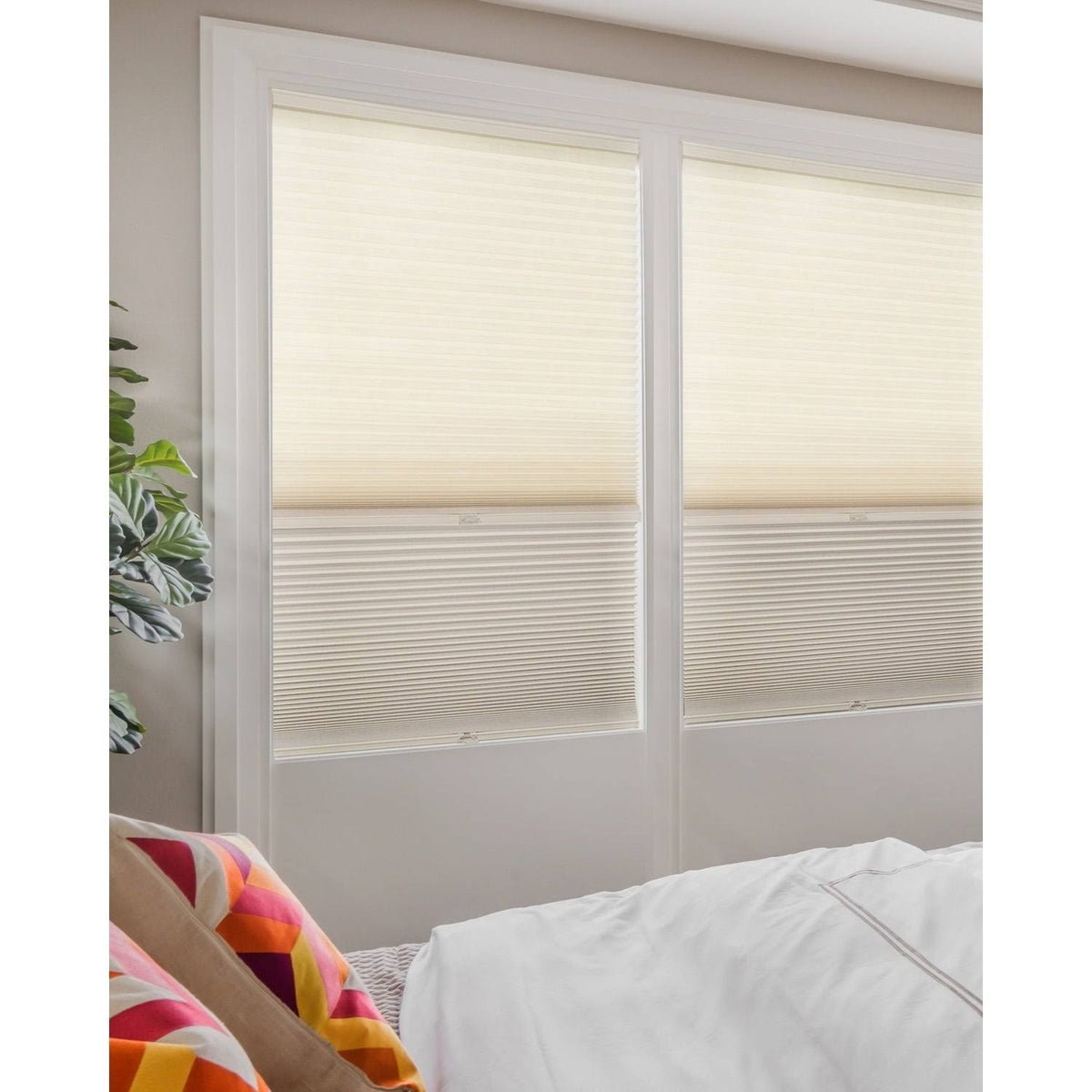 Cordless Cellular Shades D2401