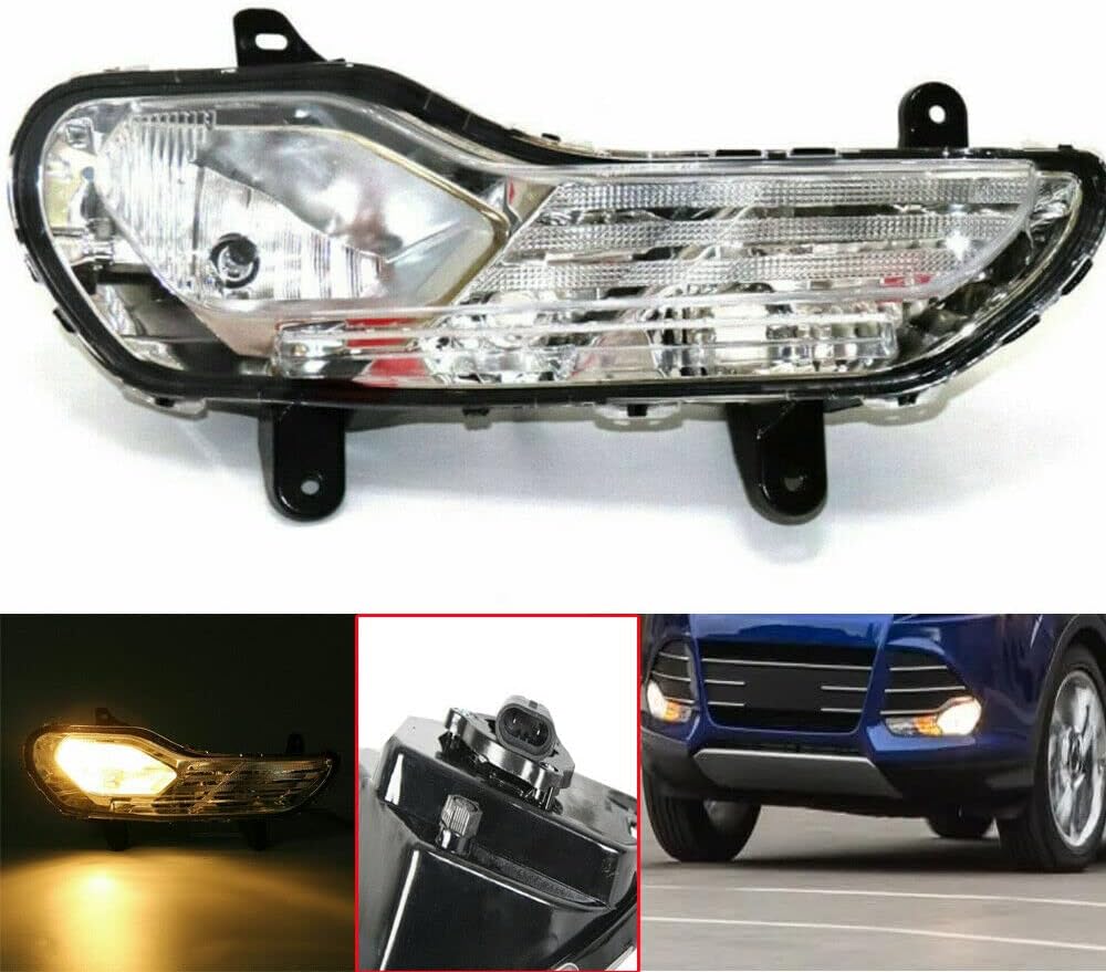 Fog Light Housing Assembly (Right Side) O6709