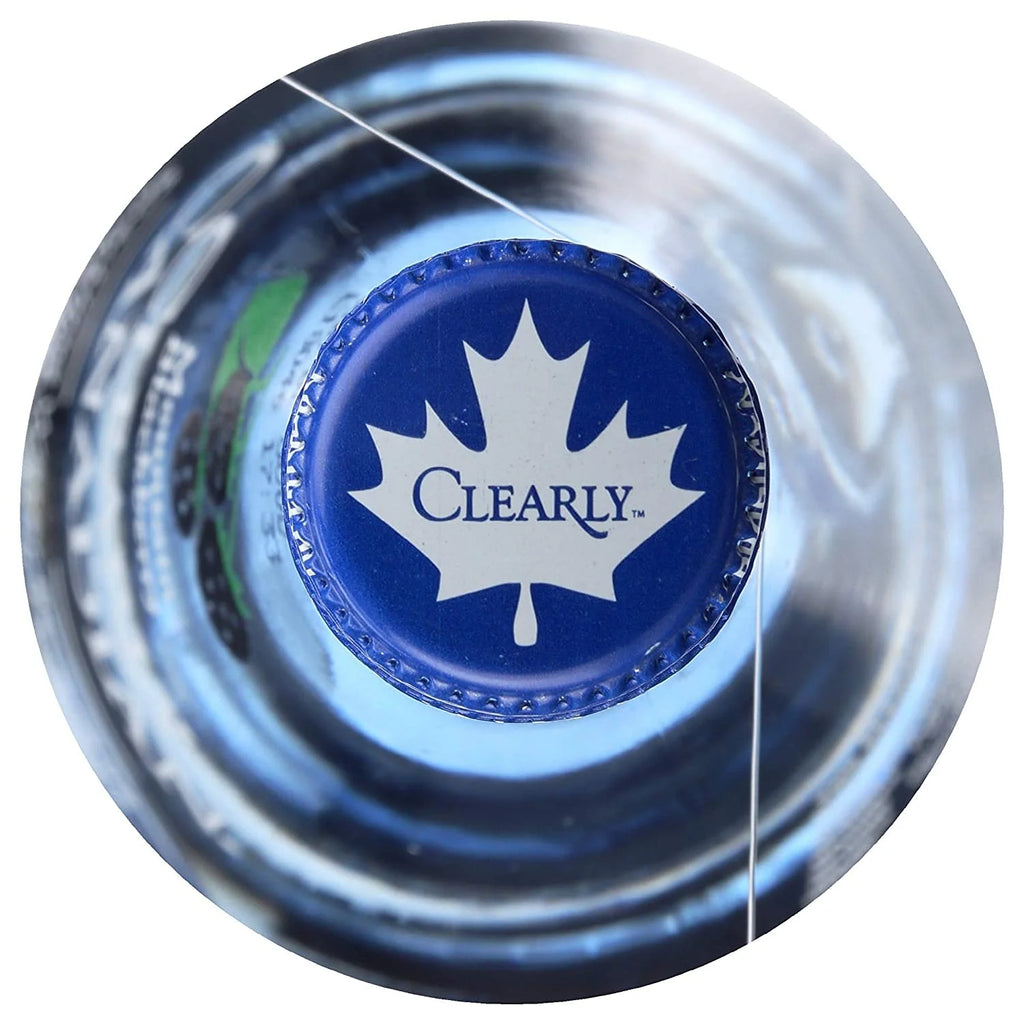 Blackberry Sparkling Water (Pack Of 2) O87685