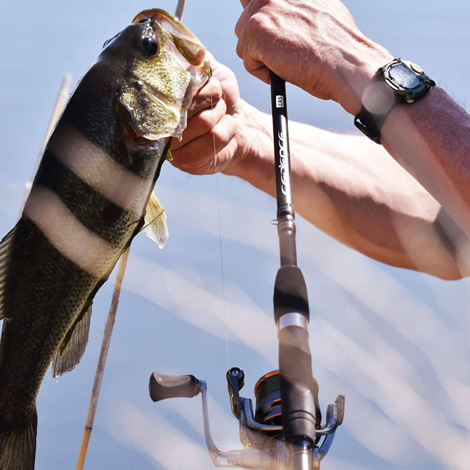 Cadence CS8 Spinning Reel Ultralight Fast Speed Premium Magnesium Frame Fishing Reel with 10 Low Torque Bearings Super Smooth Po K64471