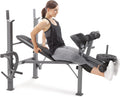 Standard Weight Bench with Leg Developer D488