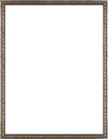 Gold Frame Museum Frame C7195
