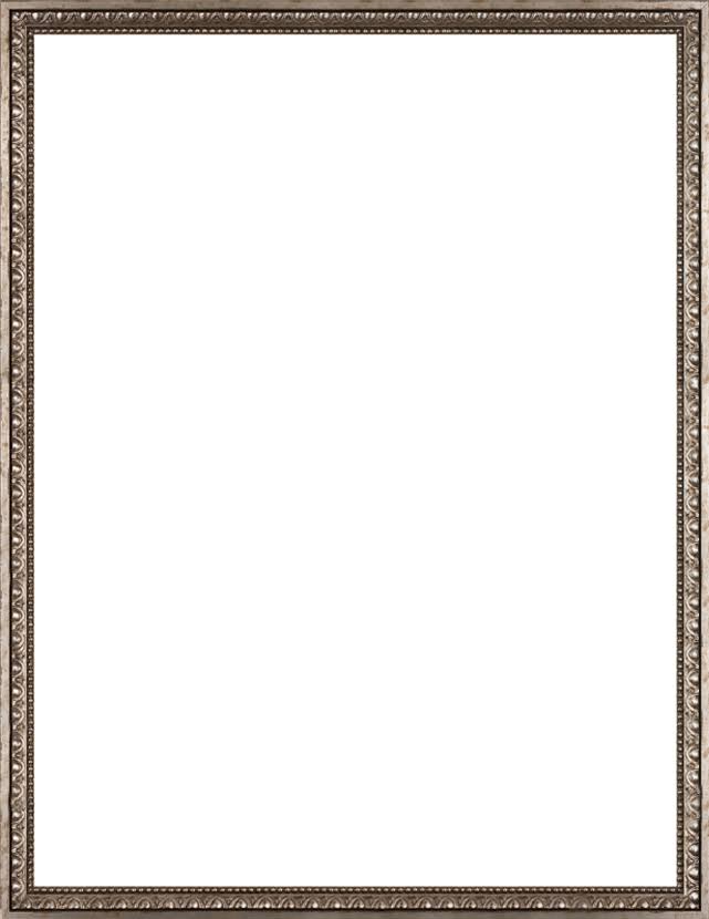 Gold Frame Museum Frame C7195