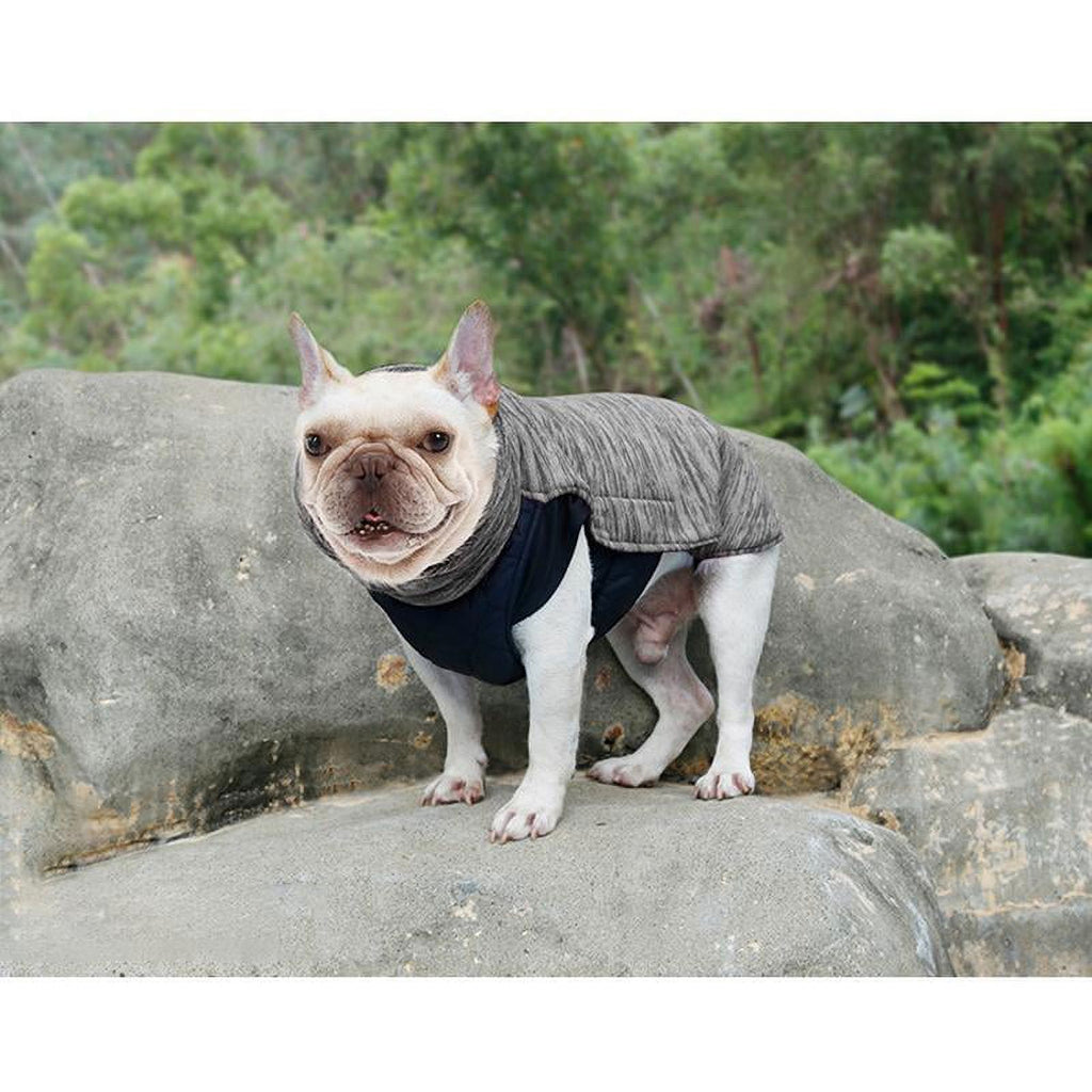 Gray XL Dog Coat V164674