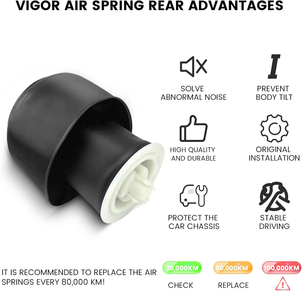 Rear Air Spring Y513