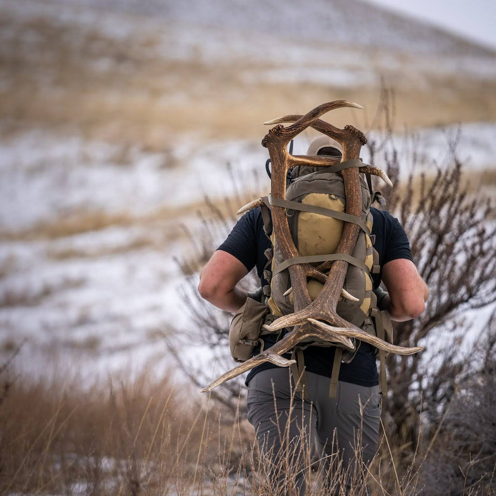 Coyote Vapor 2500 Backpack D1956