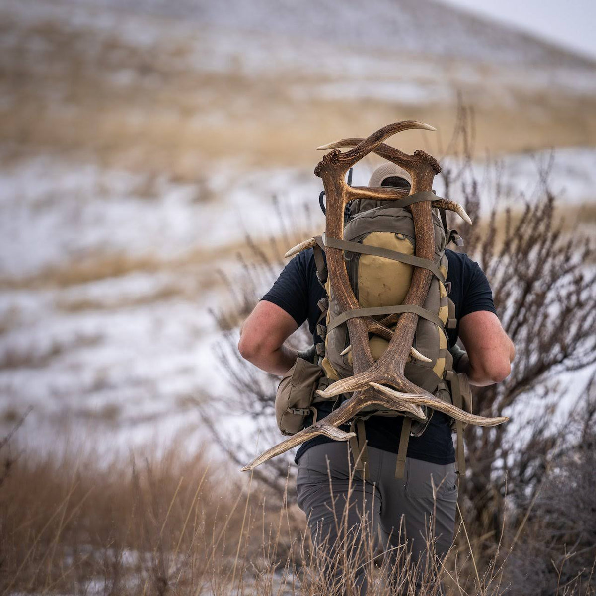 Coyote Vapor 2500 Backpack D1956