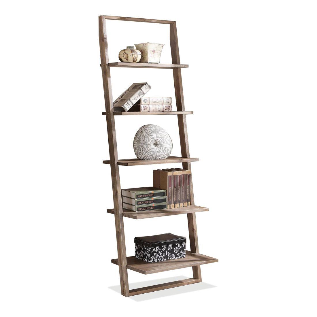 Smoky Driftwood Leaning Bookcase V66584