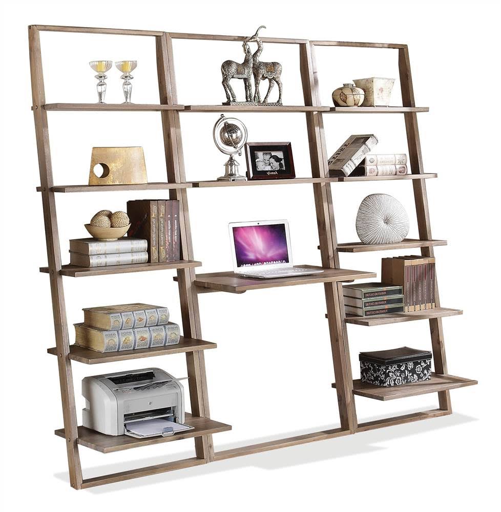 Smoky Driftwood Leaning Bookcase V66584