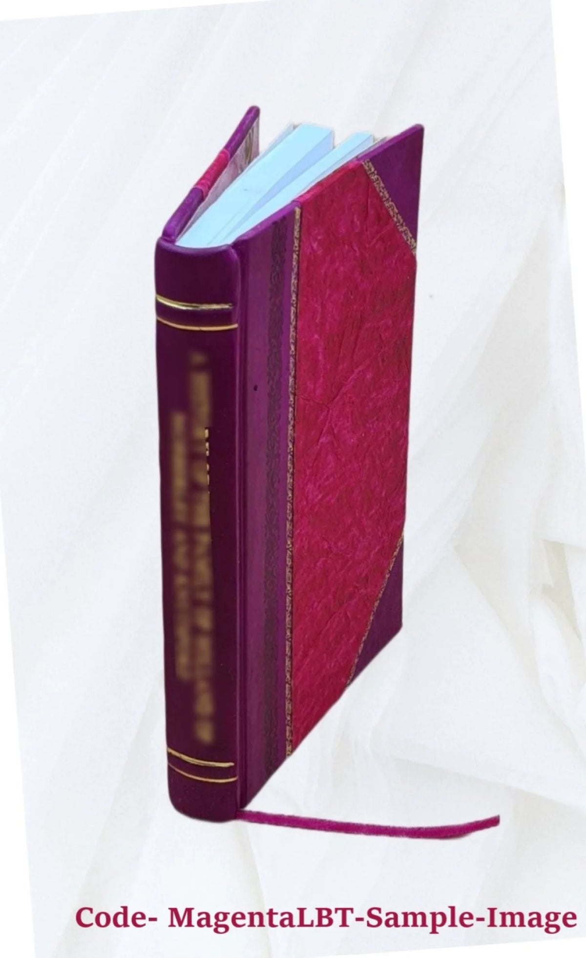 Memoirs of the celebrated Eugene Aram O885