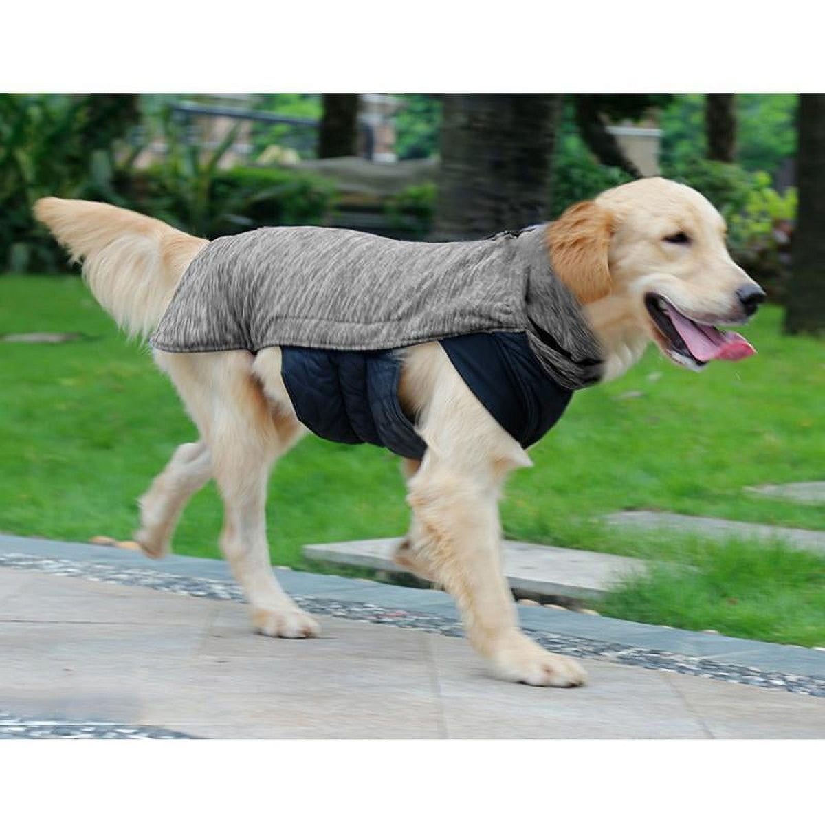 Gray XL Dog Coat V164674