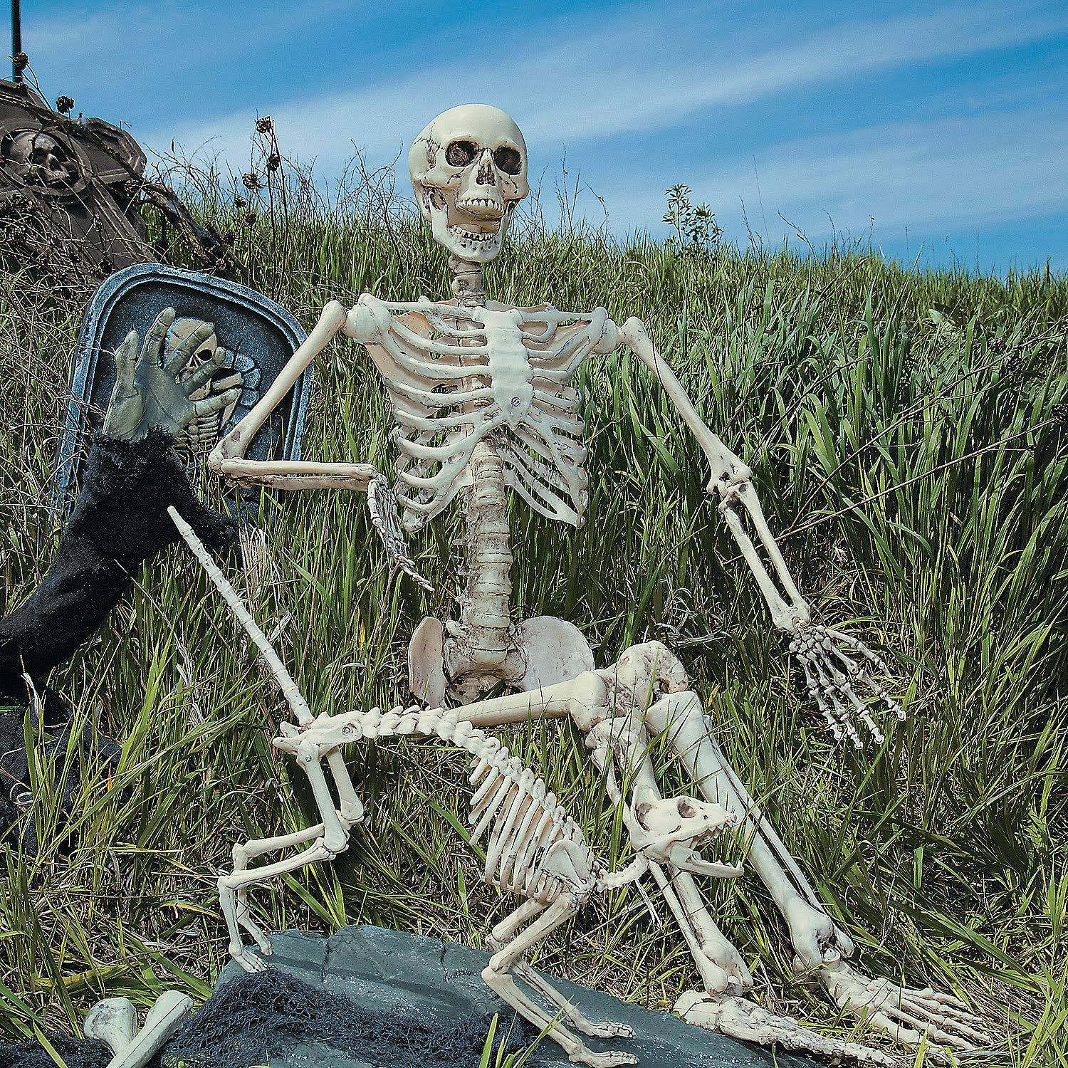 Posable Skeleton Halloween Decoration P45942