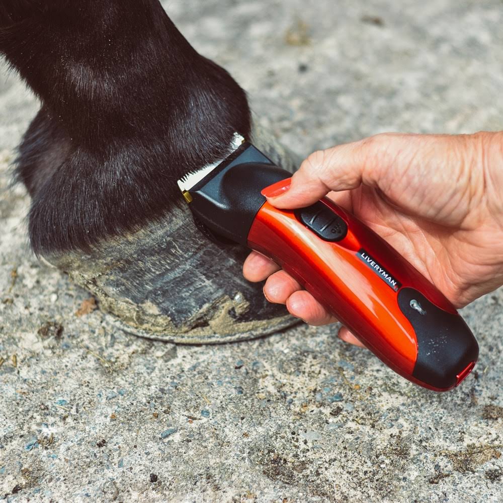 Rechargeable Trimmer T74152