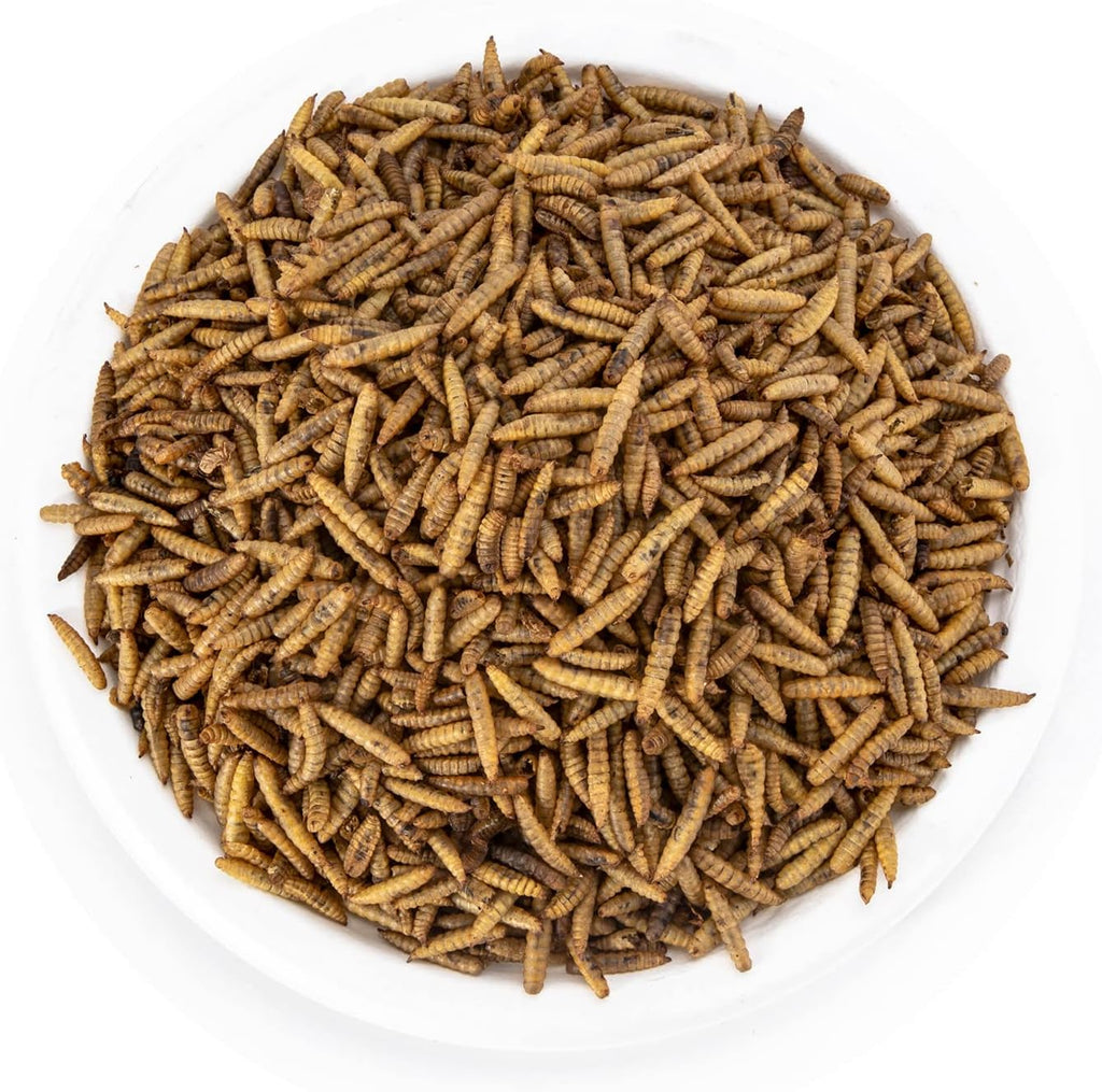 11LBS Dried Black Soldier Fly Larvae Treats Pack of 2 C934
