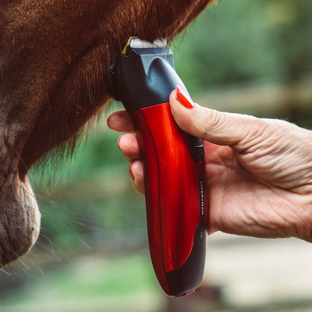 Rechargeable Trimmer T74152