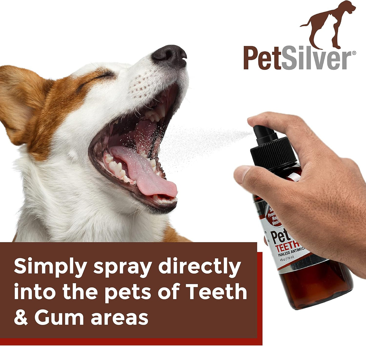 Teeth & Gum Spray for Dogs and Cats with Chelated Silver, 2 Pack G415947