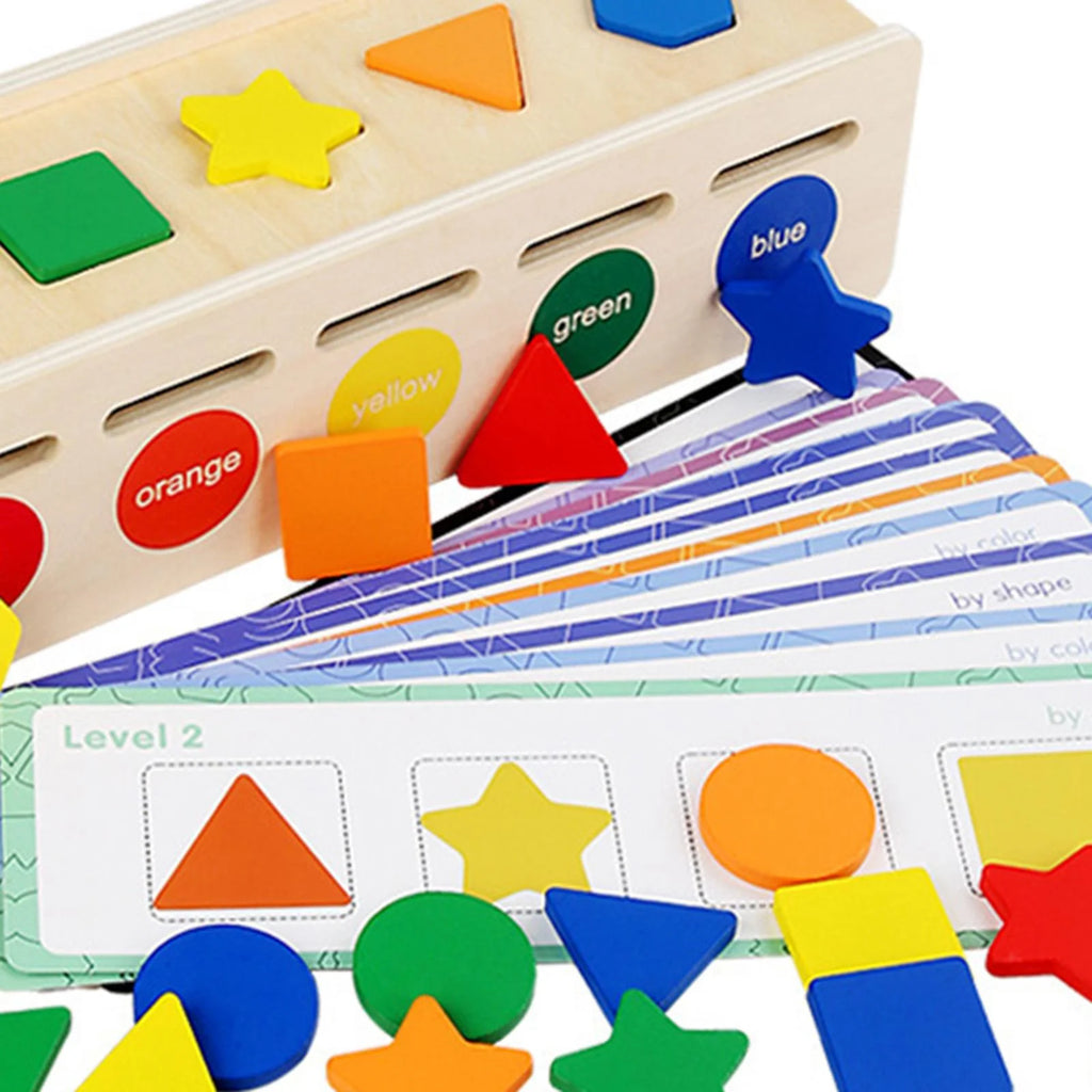 Montessori Geometric Matching Blocks Activity Toy H988