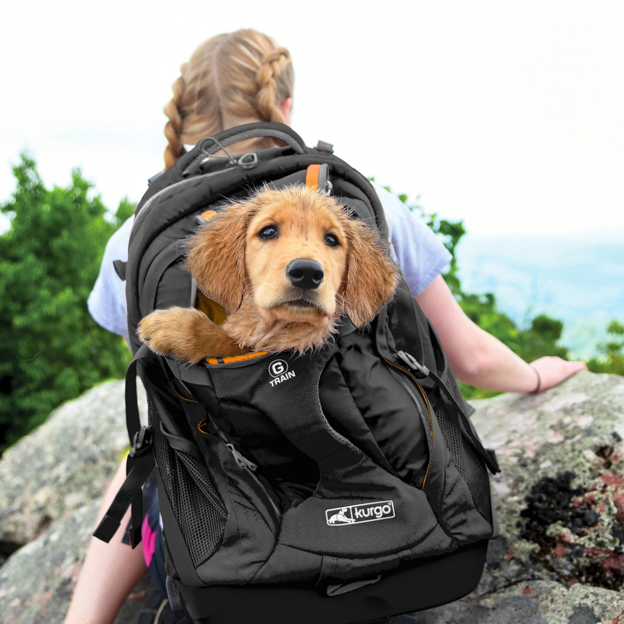 Dog Carrier Backpack with Chest Straps & Hip Belt M966