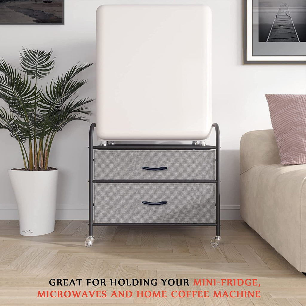 Fridge Stand with Storage, 2 Drawer, Metal Frame, 4 Swivel Wheels F38537