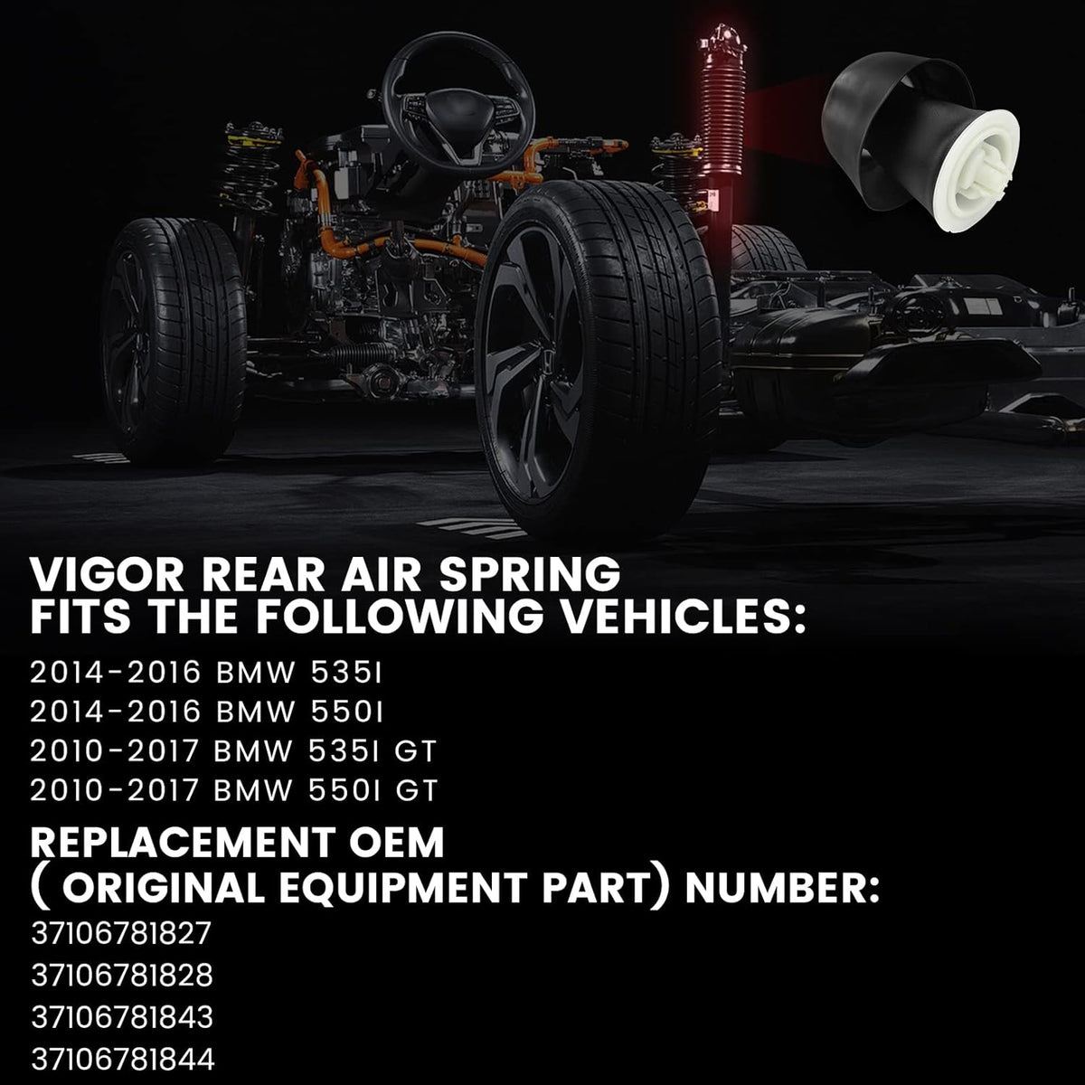 Rear Air Spring Y513