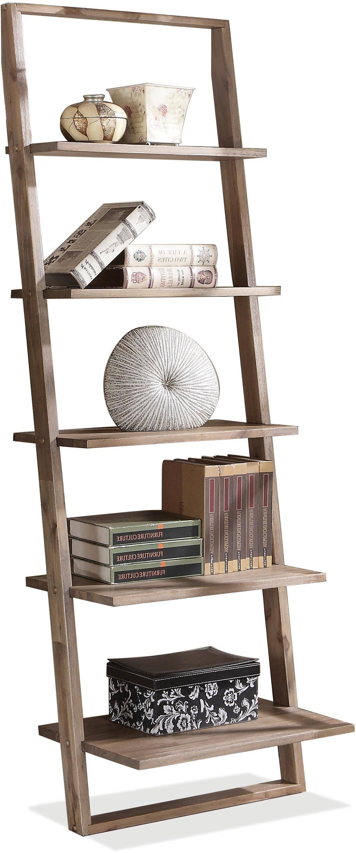 Smoky Driftwood Leaning Bookcase V66584