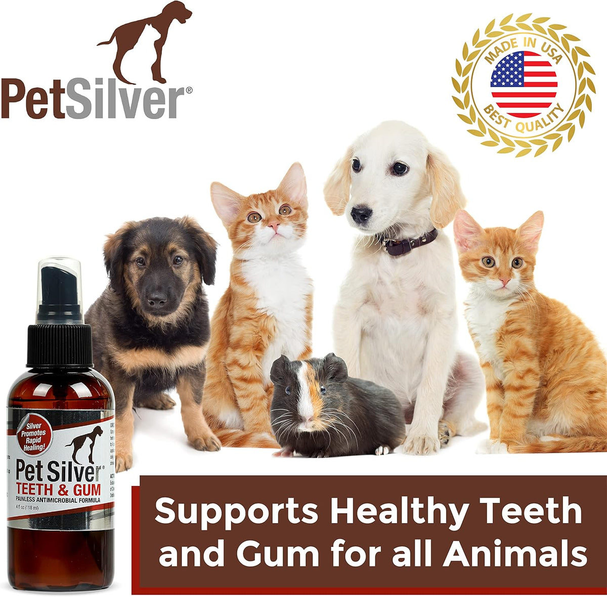 Teeth & Gum Spray for Dogs and Cats with Chelated Silver, 2 Pack G415947