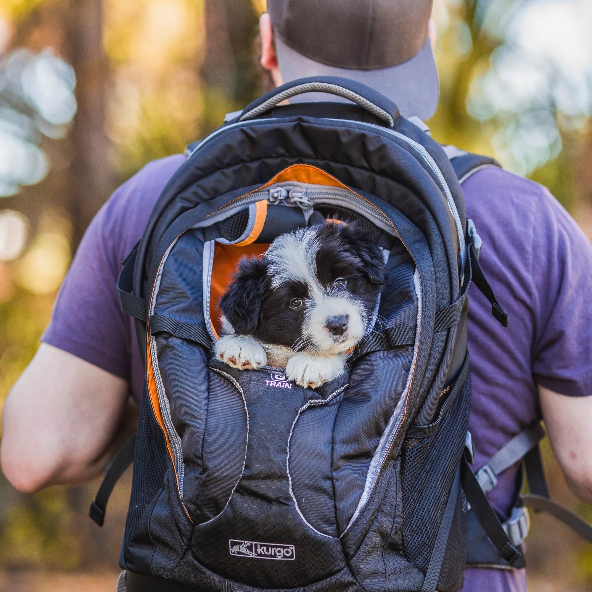 Dog Carrier Backpack with Chest Straps & Hip Belt M966