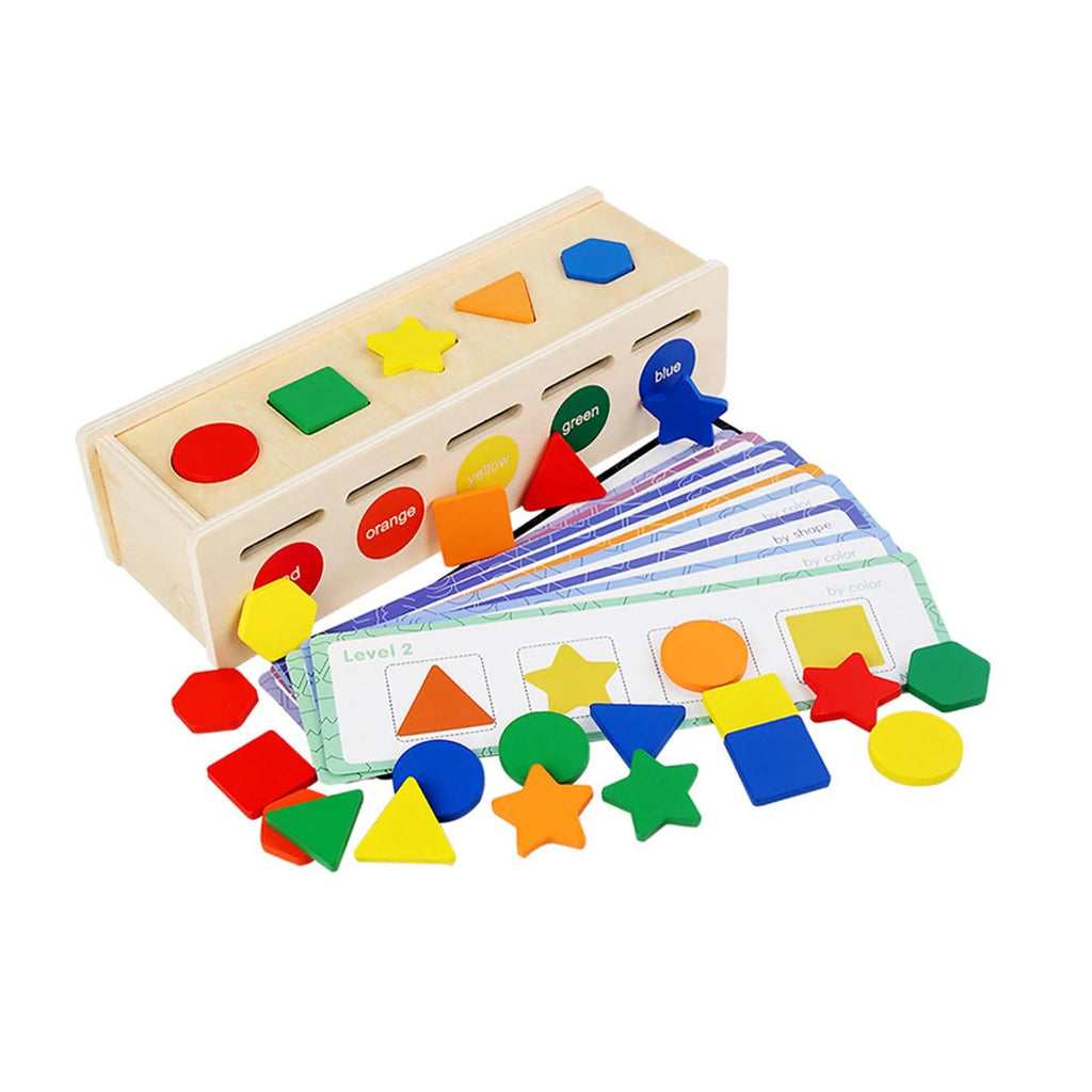 Montessori Geometric Matching Blocks Activity Toy H988