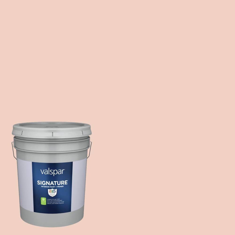 Satin Peach Interior Paint (5-Gallon) F960