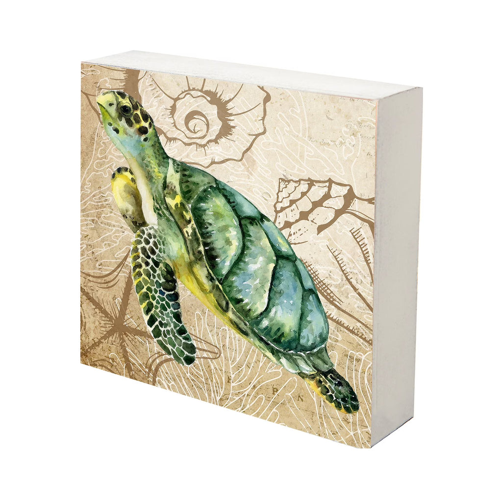 Turtle Art Canvas Shadow Box - 10x10 V85968