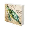 Turtle Art Canvas Shadow Box - 10x10 V85968