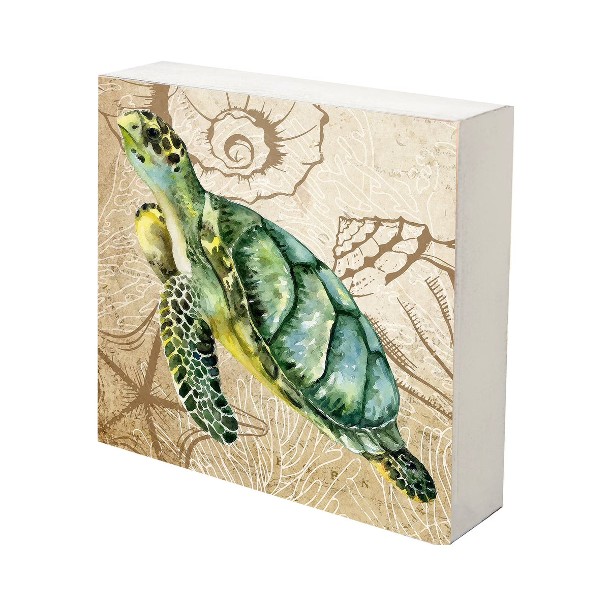 Turtle Art Canvas Shadow Box - 10x10 V85968