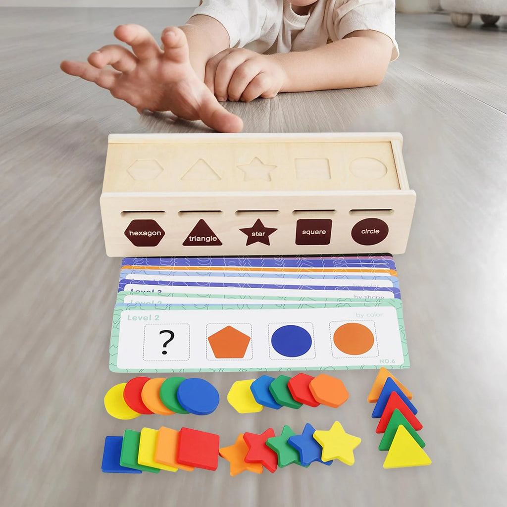 Montessori Geometric Matching Blocks Activity Toy H988