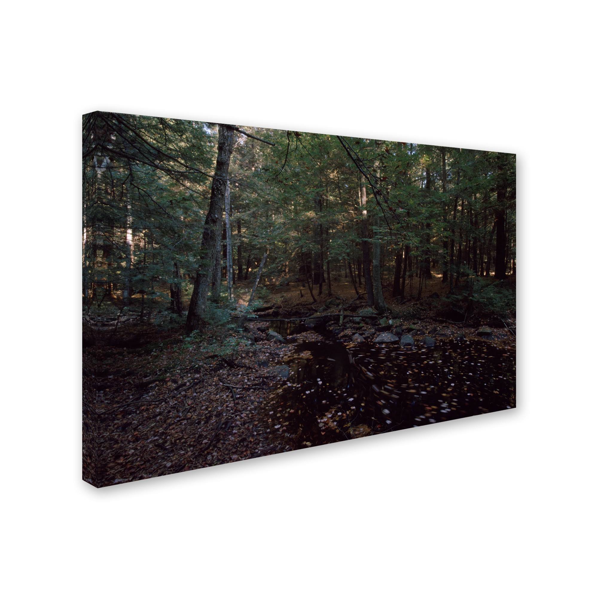 Canvas Art B63717