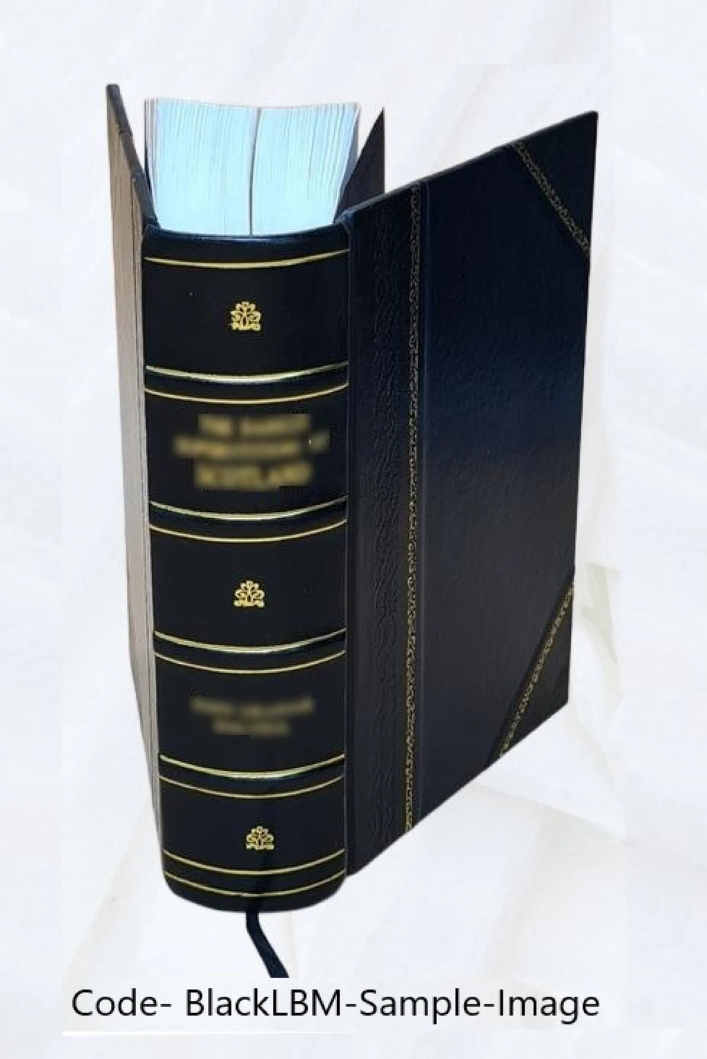 The life and correspondence of John Foster N11932