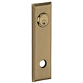 Satin Brass/Black Single Passage Door Set O264