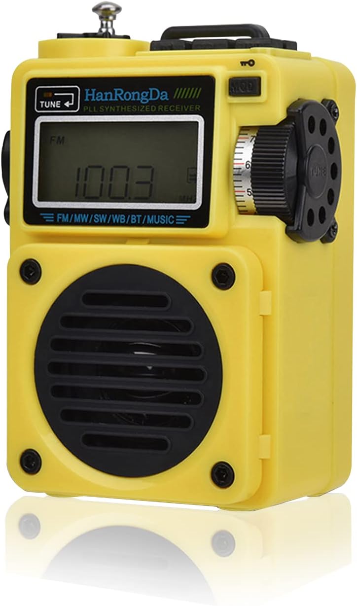 Portable Bluetooth World Band Radio Pack of 2 E273
