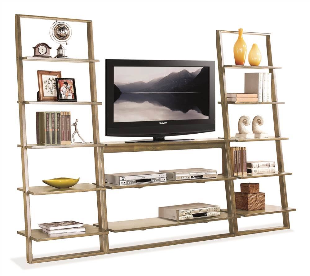 Smoky Driftwood Leaning Bookcase V66584