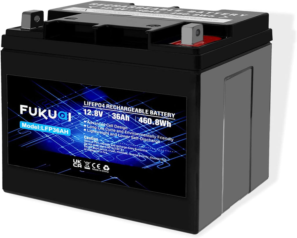 12V 16Ah LiFePO4 Battery, Pack of 2 H9459