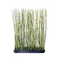 Bamboo Rectangular Hedge Y600976