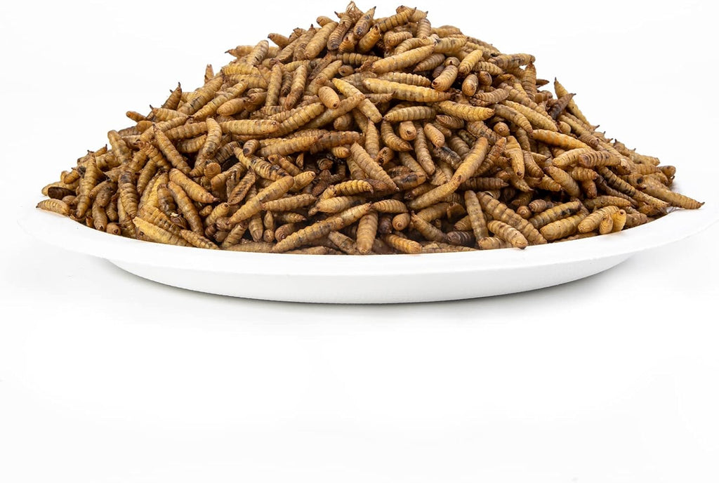 11LBS Dried Black Soldier Fly Larvae Treats Pack of 2 C934