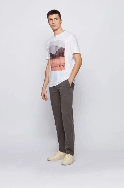Slim Fit Brushed Stretch Cotton Chinos T35401