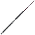 Spinning Rod U323571