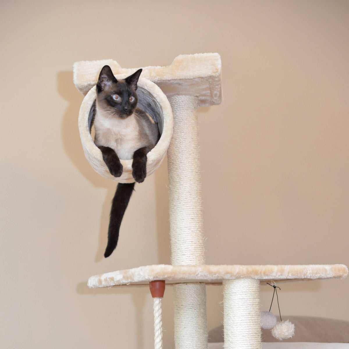Beige 62 inch Cat Tree K731811